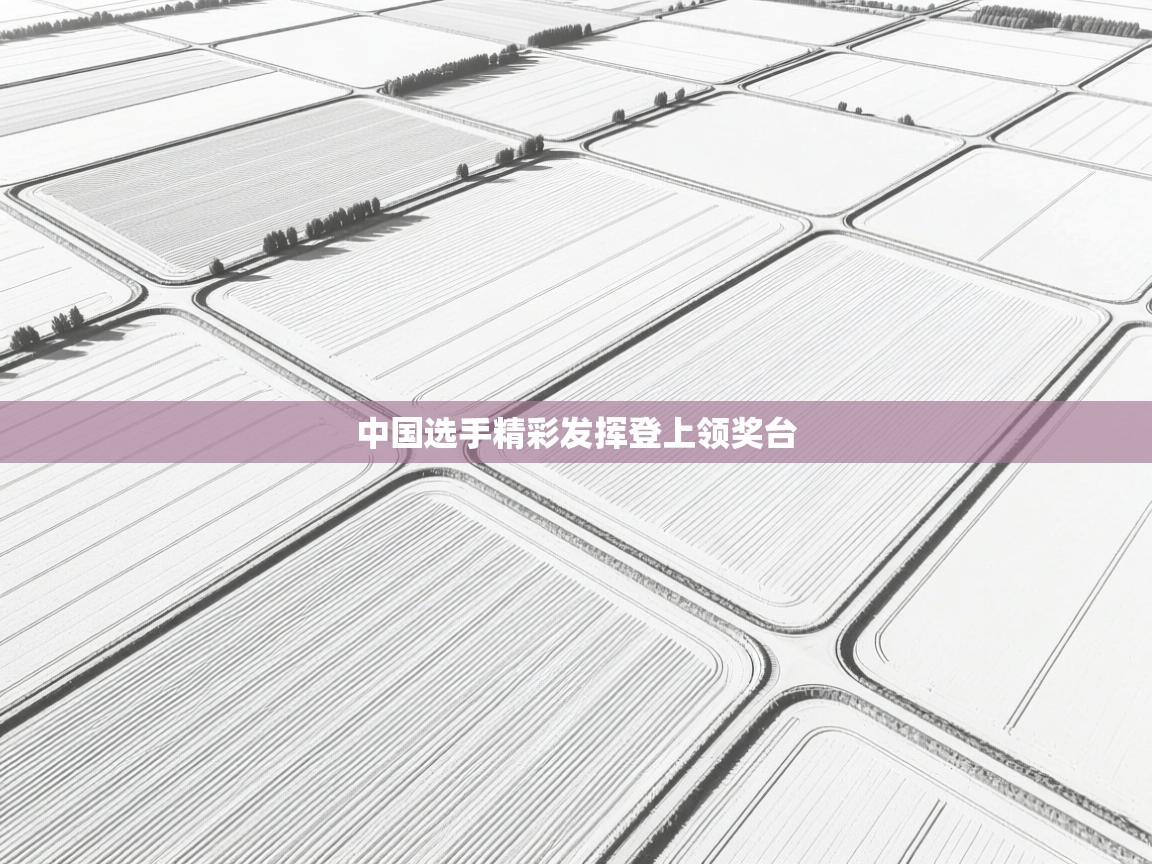 中国选手精彩发挥登上领奖台