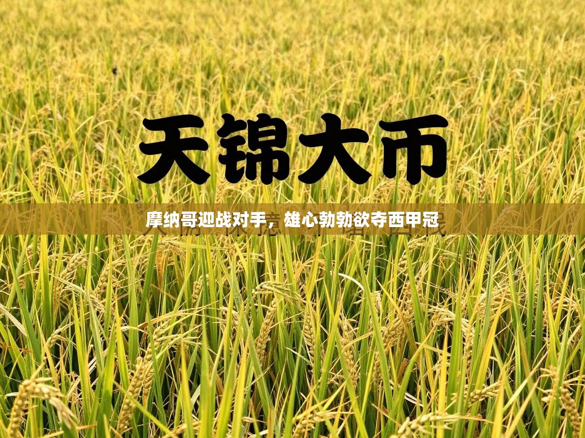 摩纳哥迎战对手，雄心勃勃欲夺西甲冠  第1张