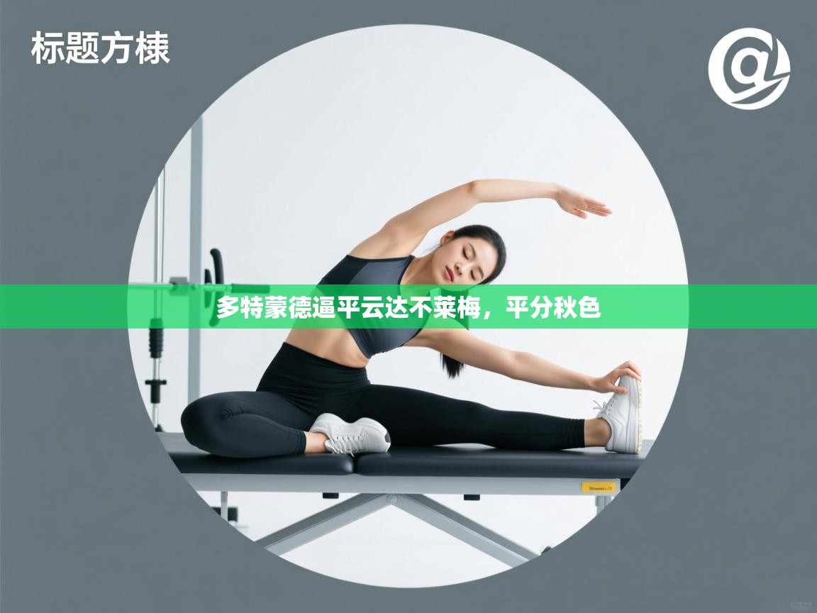 多特蒙德逼平云达不莱梅，平分秋色